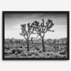 A framed or unframed fine art photography desert print of a horse in Monument Valley, Utah. This wall art features unique rock formations native to the Monument Valley area. This horse wall art comes in different sizes, including extra large.
