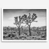 A framed or unframed fine art photography desert print of a horse in Monument Valley, Utah. This wall art features unique rock formations native to the Monument Valley area. This horse wall art comes in different sizes, including extra large.