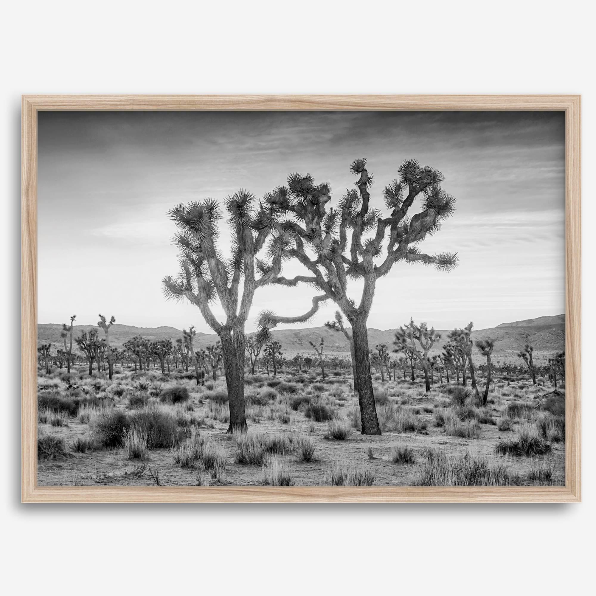 A framed or unframed fine art photography desert print of a horse in Monument Valley, Utah. This wall art features unique rock formations native to the Monument Valley area. This horse wall art comes in different sizes, including extra large.
