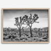 A framed or unframed fine art photography desert print of a horse in Monument Valley, Utah. This wall art features unique rock formations native to the Monument Valley area. This horse wall art comes in different sizes, including extra large.