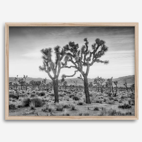 A framed or unframed fine art photography desert print of a horse in Monument Valley, Utah. This wall art features unique rock formations native to the Monument Valley area. This horse wall art comes in different sizes, including extra large.