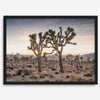 A framed fine art photography print from Joshua Tree National Park of two Joshua Trees in the Sunset. The trees appear to be holding hands. This California desert landscape wall art shows the famous Joshua Trees and desert plants in the Sunset.
