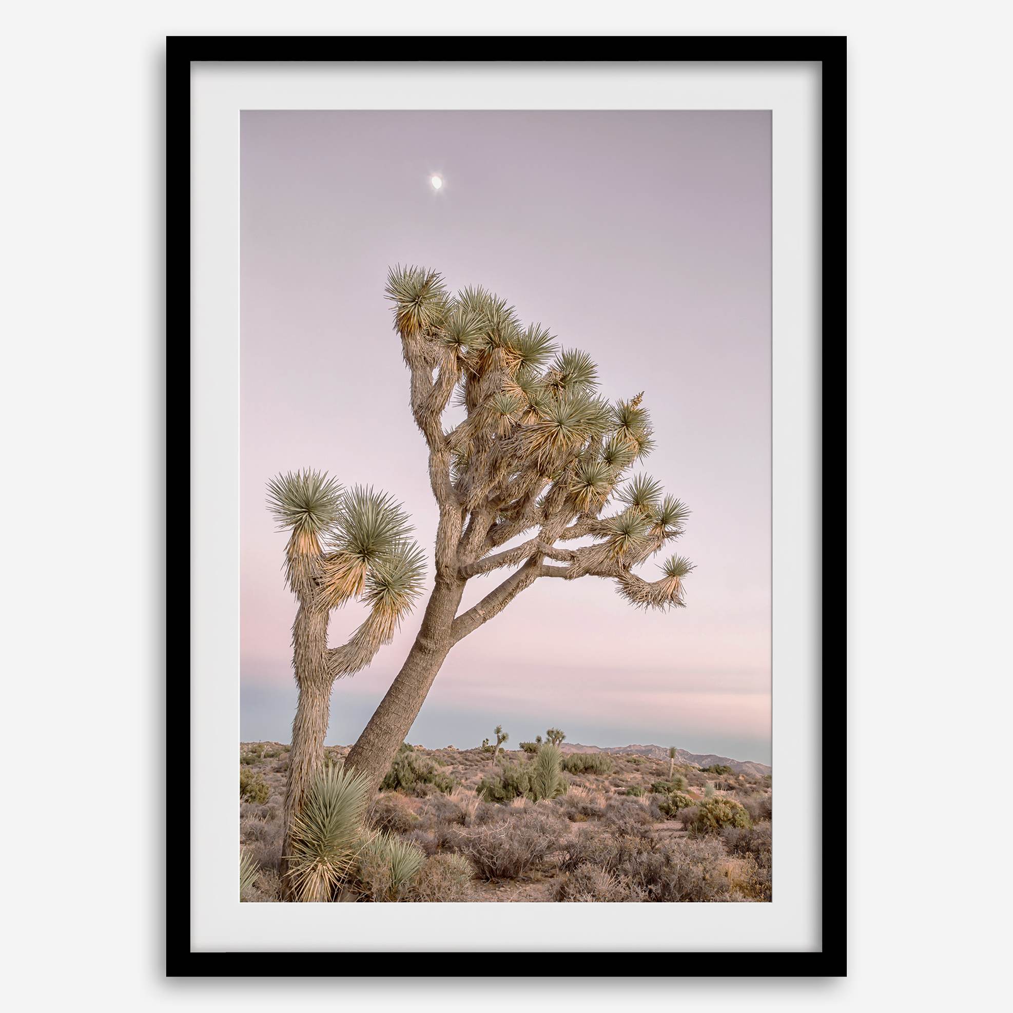 Joshua tree wall art featuring a pink desert sunset, with a tall Joshua tree silhouetted against the sky.