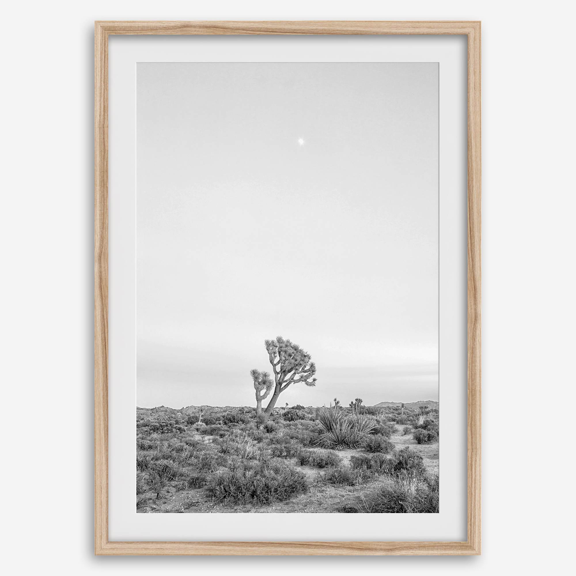 Black and white photo of a lone Joshua Tree at sunset in a desert landscape.