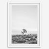 Black and white photo of a lone Joshua Tree at sunset in a desert landscape.