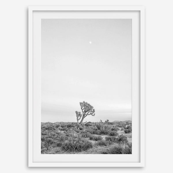 Black and white photo of a lone Joshua Tree at sunset in a desert landscape.