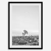 Black and white photo of a lone Joshua Tree at sunset in a desert landscape.
