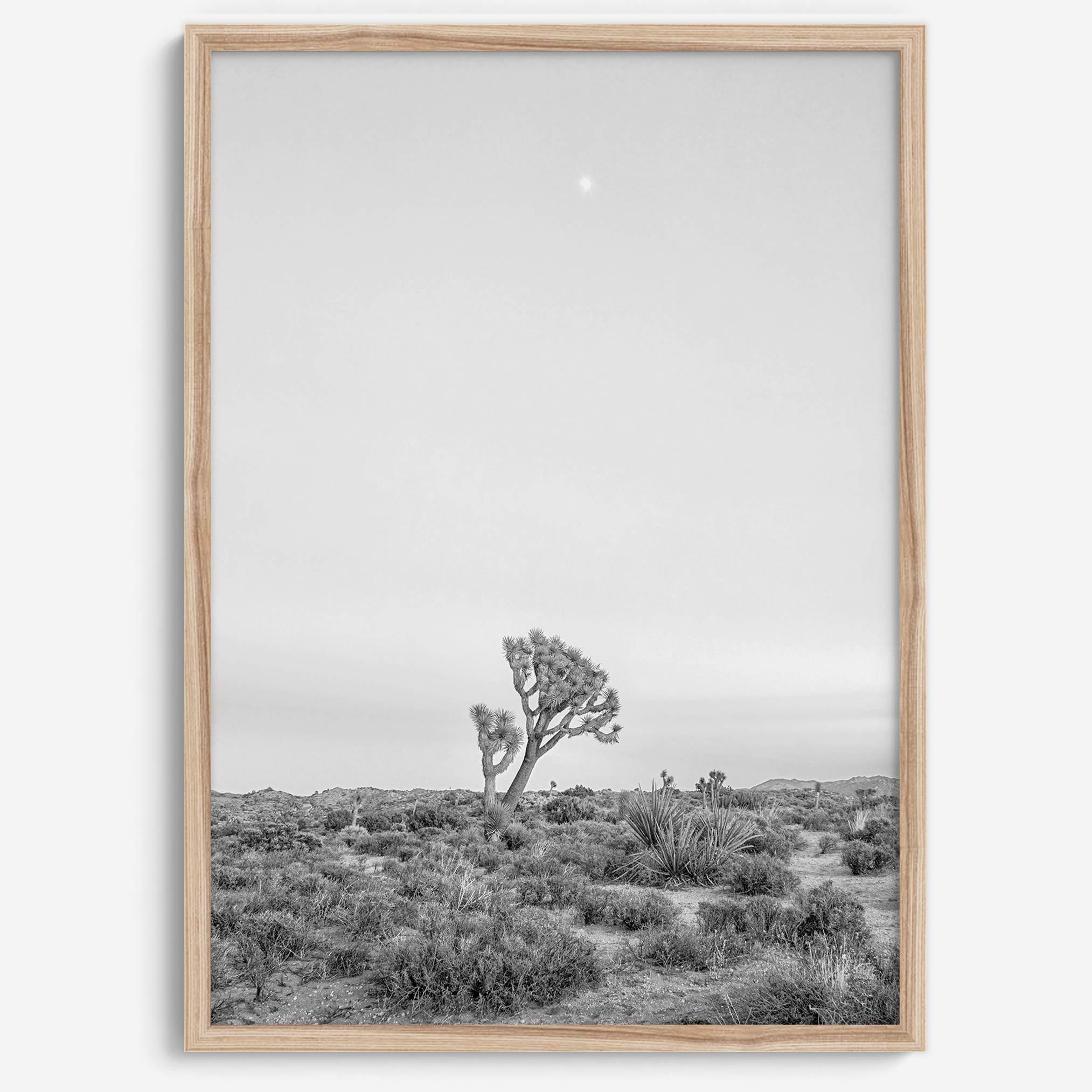 Black and white photo of a lone Joshua Tree at sunset in a desert landscape.