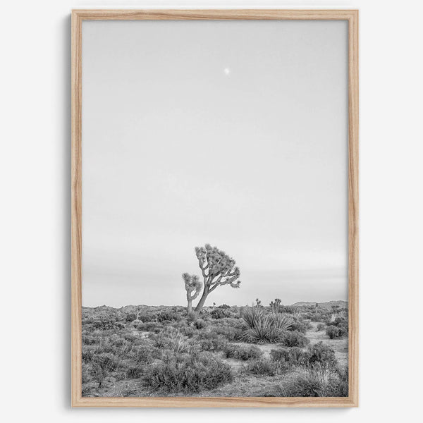 Black and white photo of a lone Joshua Tree at sunset in a desert landscape.