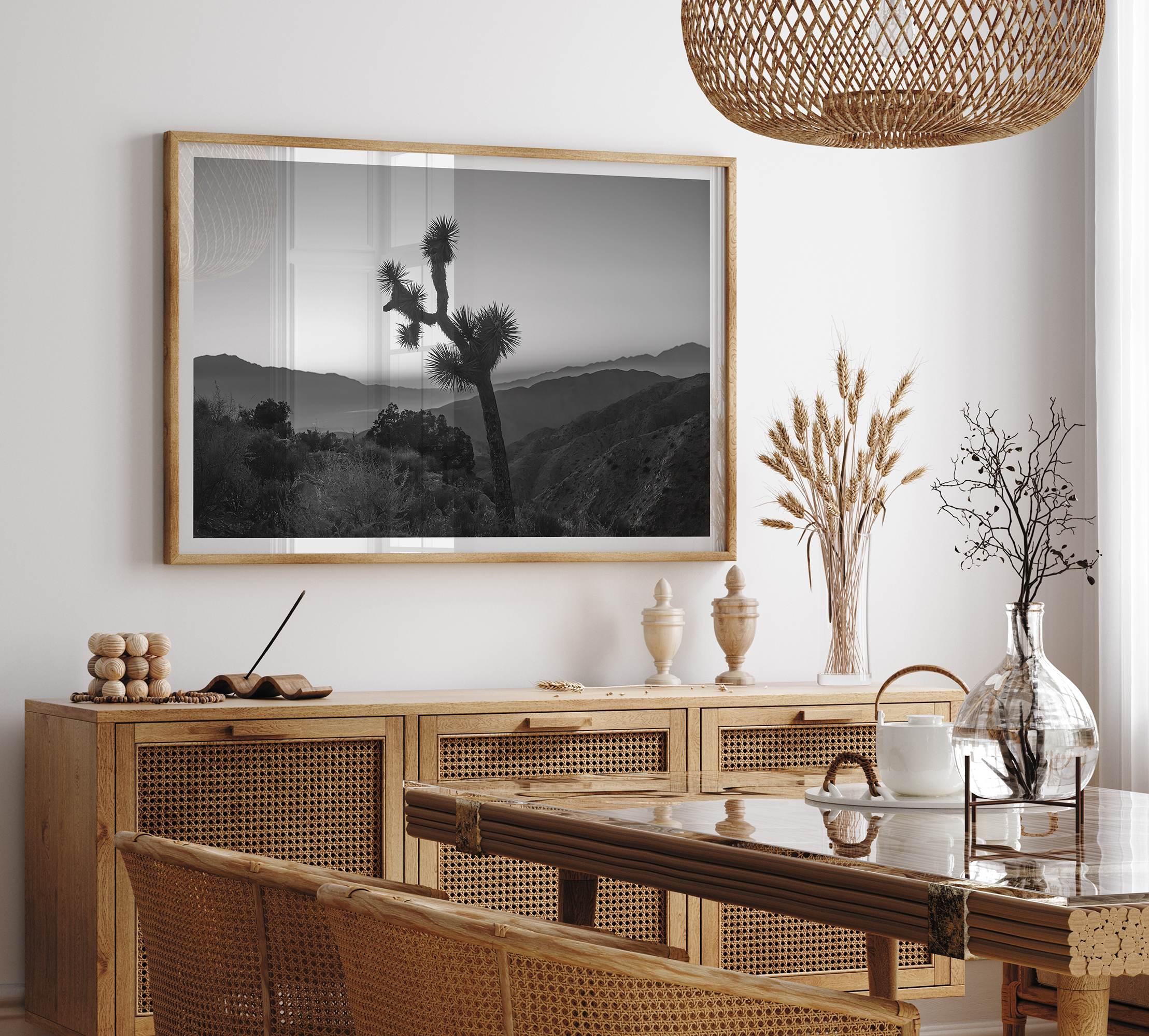 A fine art black and white desert print of a lone Joshua Tree against a sunset with the layered desert mountains behind it.