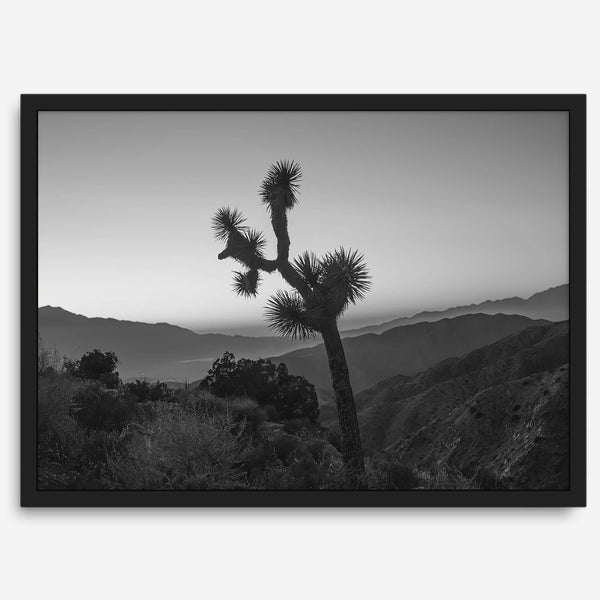 A fine art black and white desert print of a lone Joshua Tree against a sunset with the layered desert mountains behind it.