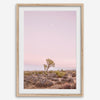 Joshua Tree at dusk fine art print – a serene desert landscape with soft pink skies and a lone Joshua Tree under the moon.