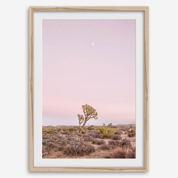 Joshua Tree at dusk fine art print – a serene desert landscape with soft pink skies and a lone Joshua Tree under the moon.