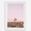 Joshua Tree at dusk fine art print – a serene desert landscape with soft pink skies and a lone Joshua Tree under the moon.