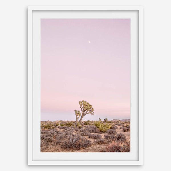 Joshua Tree at dusk fine art print – a serene desert landscape with soft pink skies and a lone Joshua Tree under the moon.