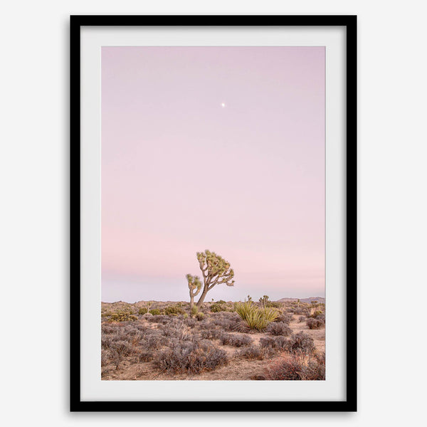 Joshua Tree at dusk fine art print – a serene desert landscape with soft pink skies and a lone Joshua Tree under the moon.