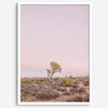 Joshua Tree at dusk fine art print – a serene desert landscape with soft pink skies and a lone Joshua Tree under the moon.