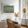 Lavender wall art featuring a fine art photography print of a Lavender field in Washington State with vibrant purple blooms under a clear blue sky.