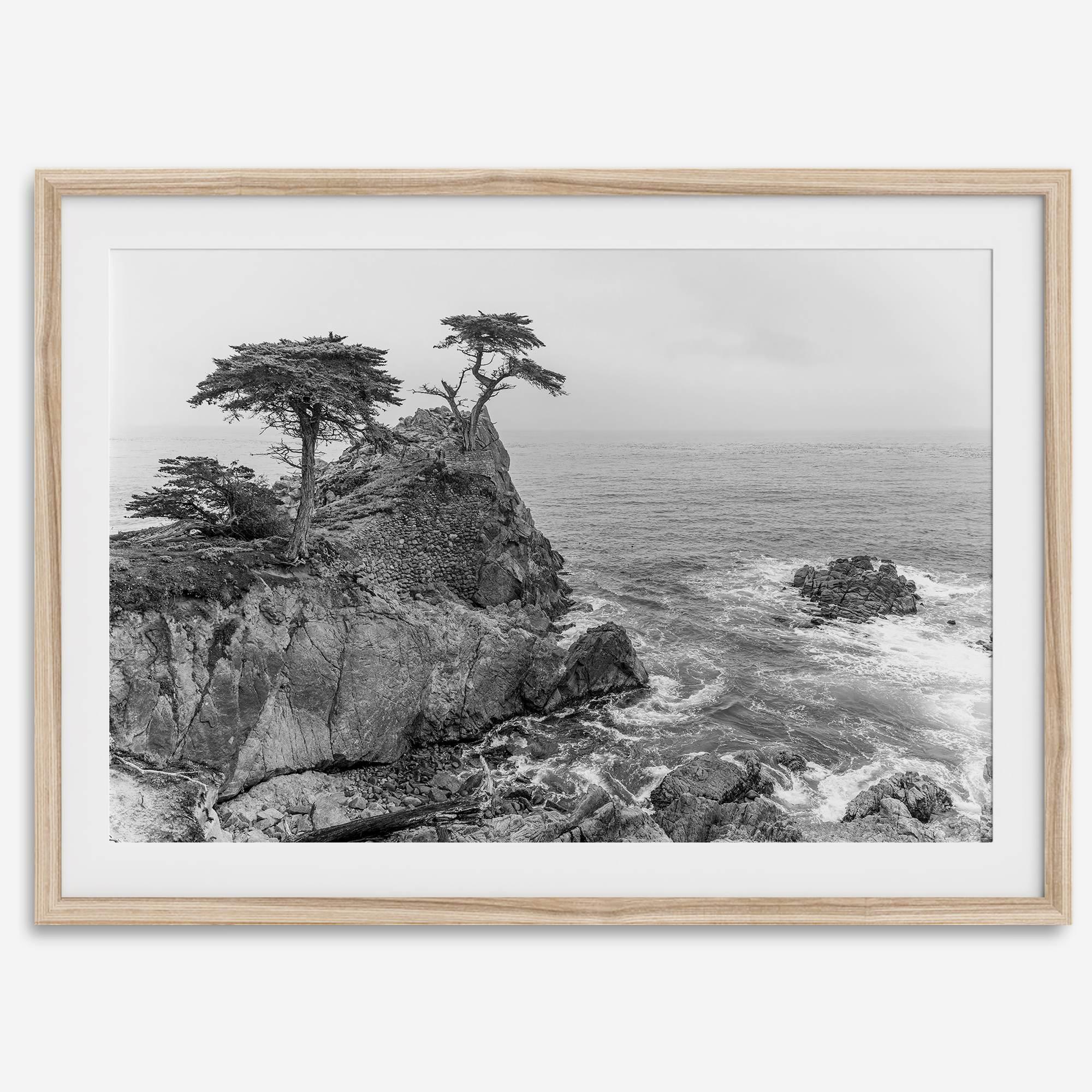Lone Cypress Tree Coastal Wall Art - Monterey California Beach Print, Black and White Coastal Photography, Framed Ocean Art Wall Decor