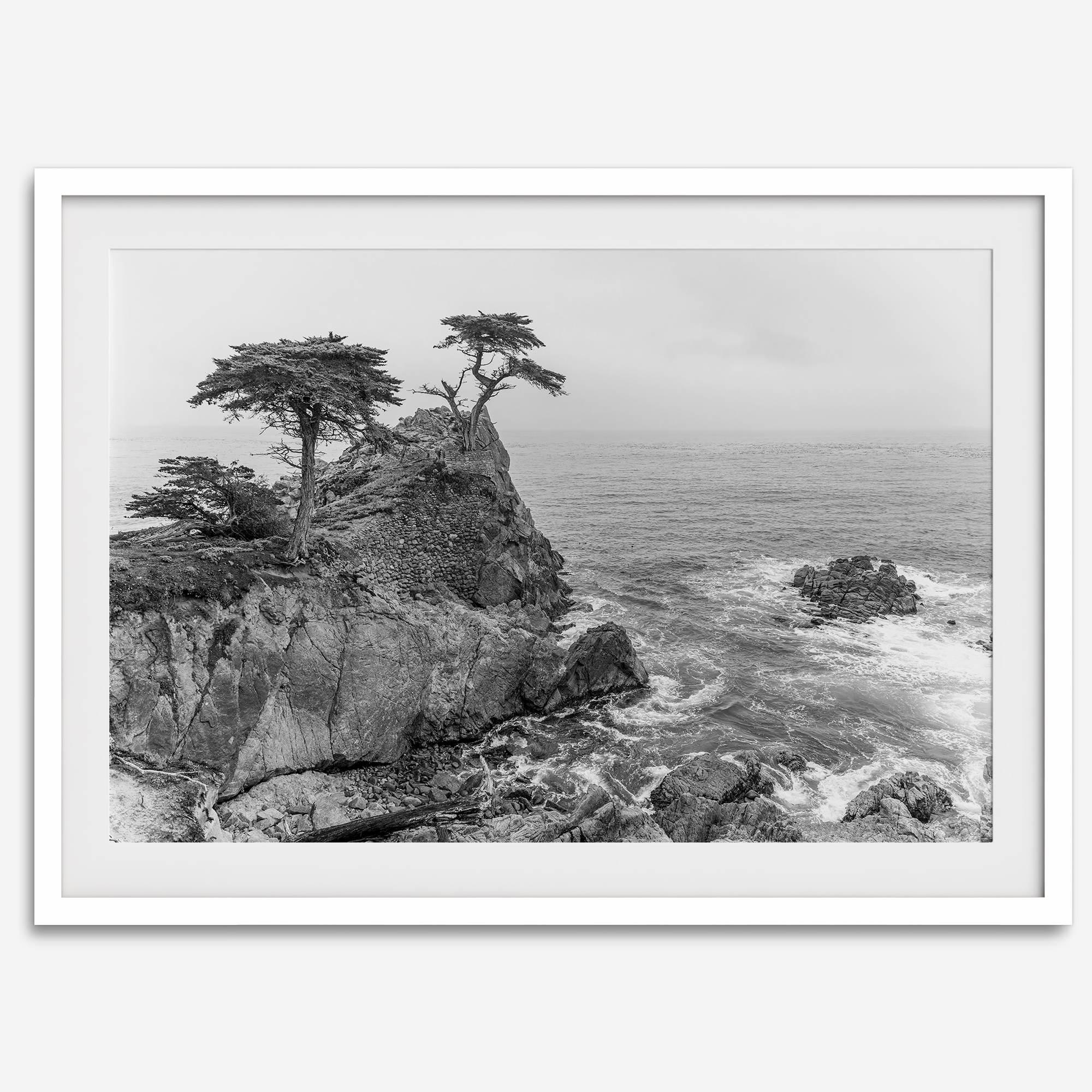 Lone Cypress Tree Coastal Wall Art - Monterey California Beach Print, Black and White Coastal Photography, Framed Ocean Art Wall Decor
