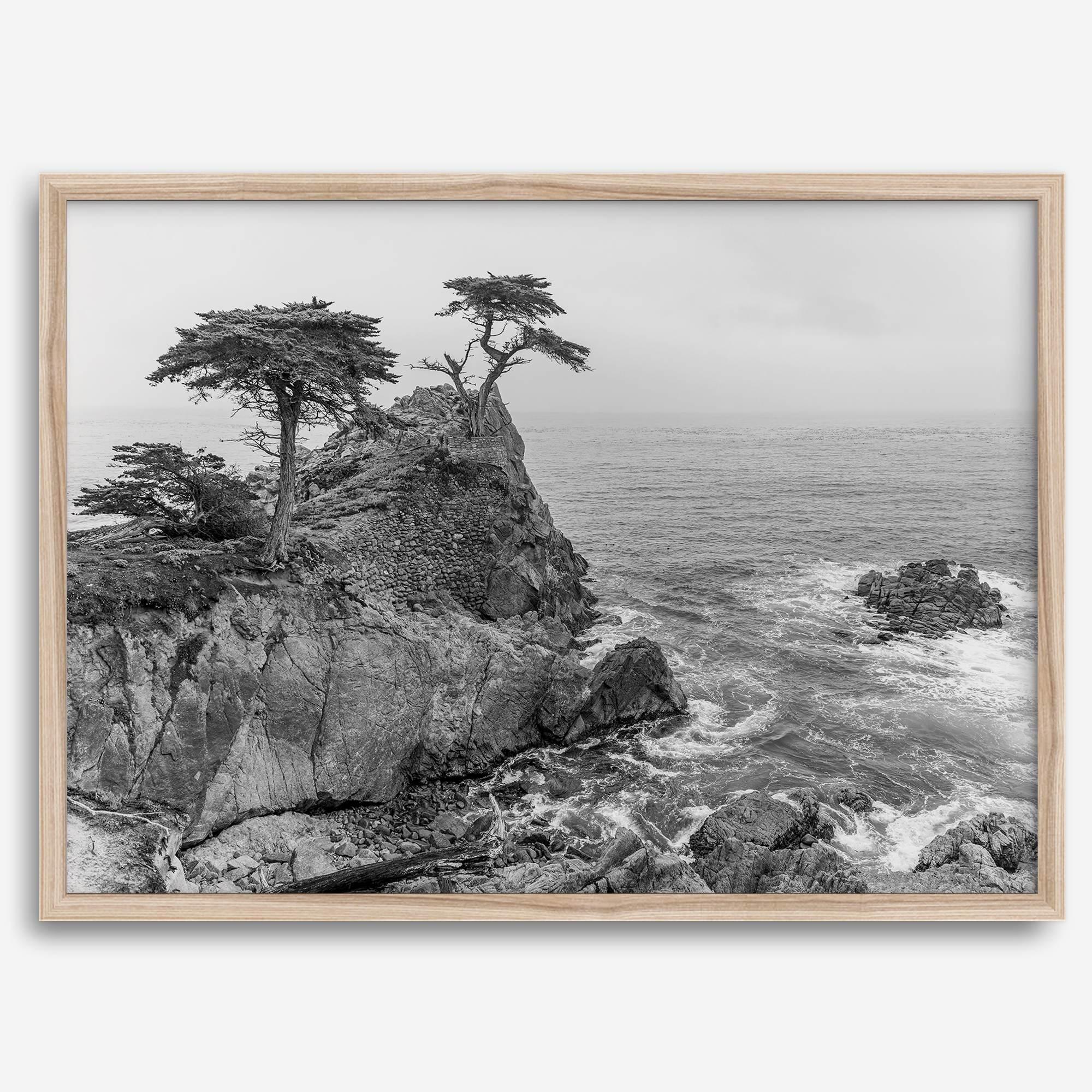 Lone Cypress Tree Coastal Wall Art - Monterey California Beach Print, Black and White Coastal Photography, Framed Ocean Art Wall Decor