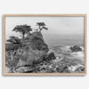 Lone Cypress Tree Coastal Wall Art - Monterey California Beach Print, Black and White Coastal Photography, Framed Ocean Art Wall Decor