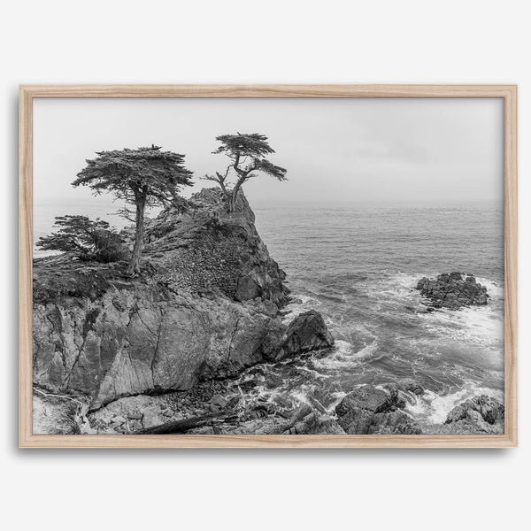 Lone Cypress Tree Coastal Wall Art - Monterey California Beach Print, Black and White Coastal Photography, Framed Ocean Art Wall Decor