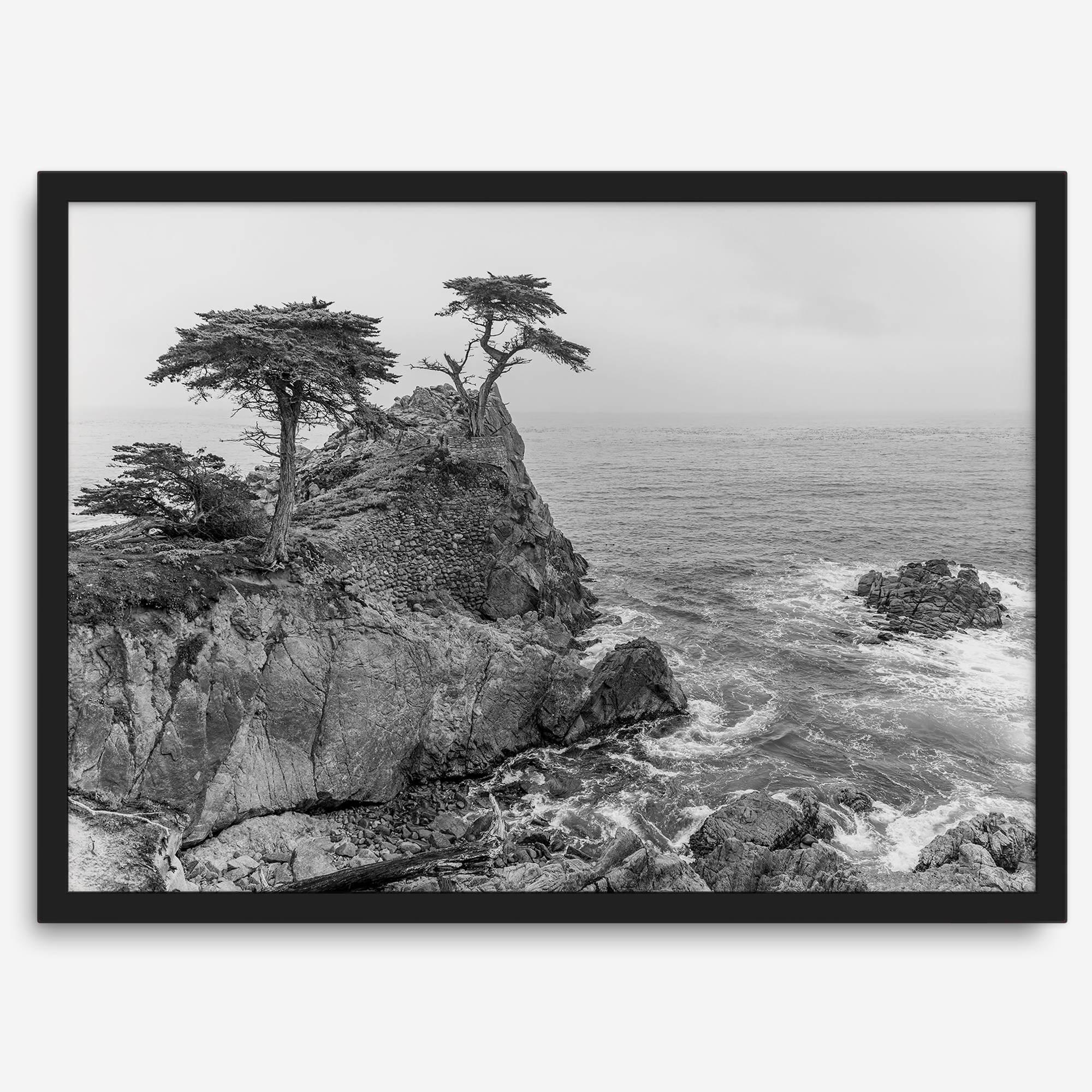 Lone Cypress Tree Coastal Wall Art - Monterey California Beach Print, Black and White Coastal Photography, Framed Ocean Art Wall Decor