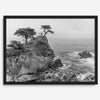 Lone Cypress Tree Coastal Wall Art - Monterey California Beach Print, Black and White Coastal Photography, Framed Ocean Art Wall Decor