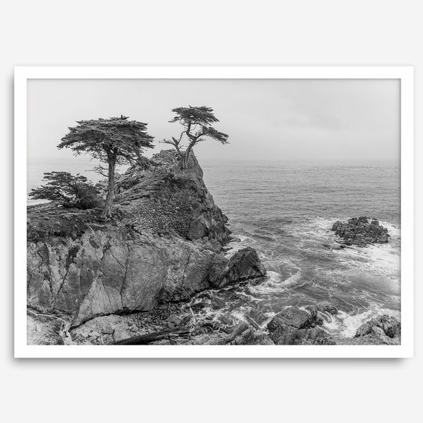 Lone Cypress Tree Coastal Wall Art - Monterey California Beach Print, Black and White Coastal Photography, Framed Ocean Art Wall Decor