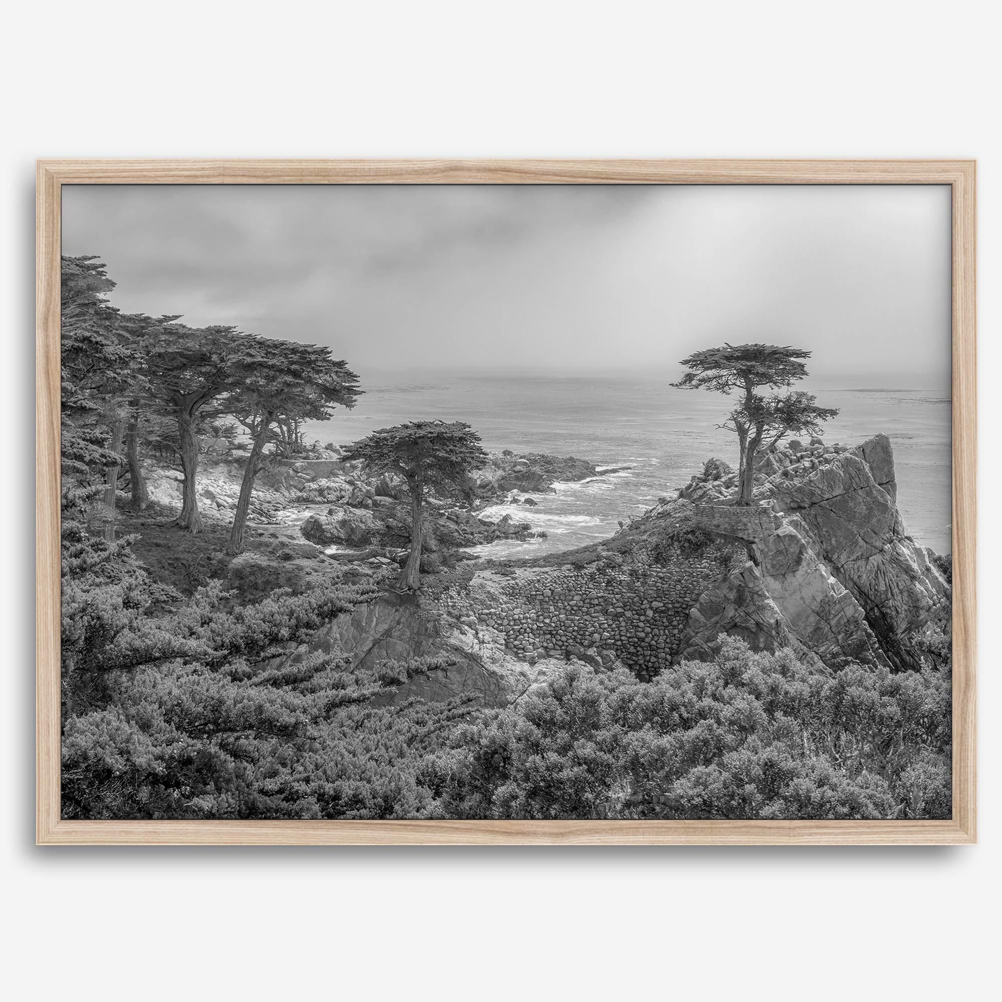 Black and white fine art coastal print featuring a lone cypress overlooking the ocean along 17-Mile Drive near Monterey, California. Available framed or unframed.