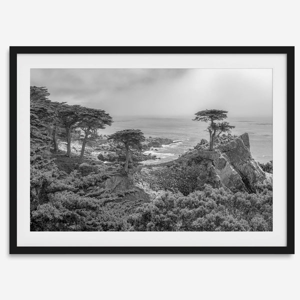 Black and white fine art coastal print featuring a lone cypress overlooking the ocean along 17-Mile Drive near Monterey, California. Available framed or unframed.