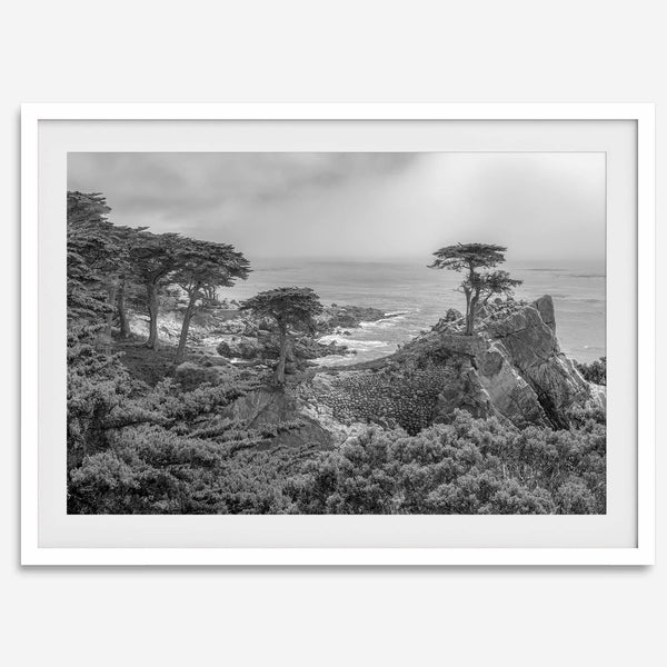 Black and white fine art coastal print featuring a lone cypress overlooking the ocean along 17-Mile Drive near Monterey, California. Available framed or unframed.
