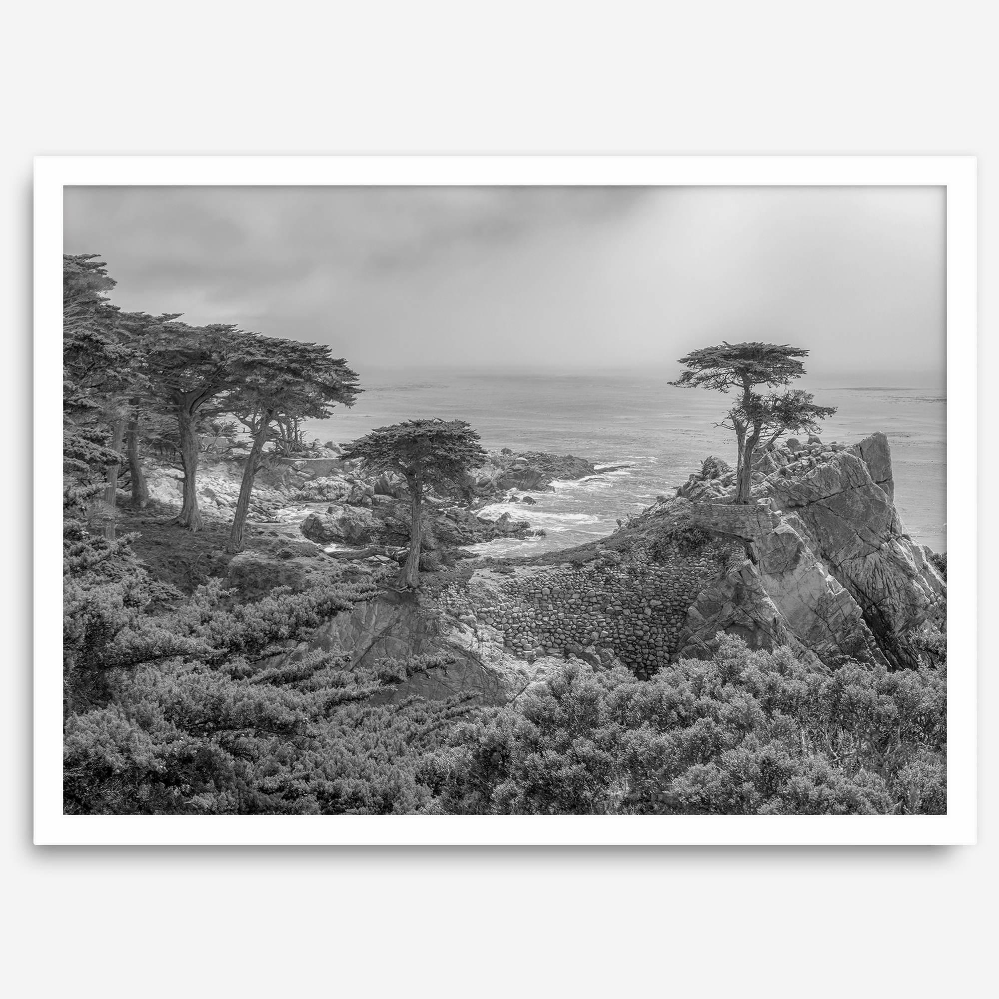 Black and white fine art coastal print featuring a lone cypress overlooking the ocean along 17-Mile Drive near Monterey, California. Available framed or unframed.