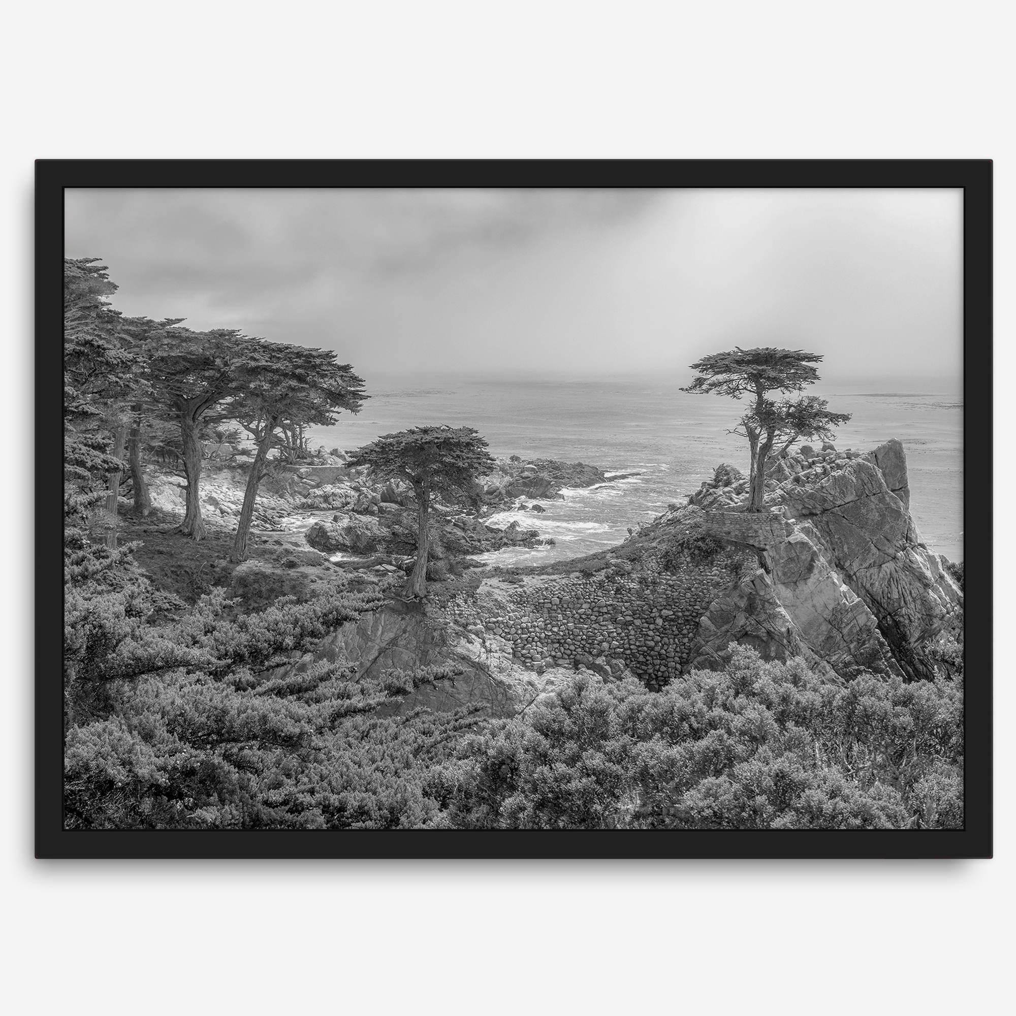 Black and white fine art coastal print featuring a lone cypress overlooking the ocean along 17-Mile Drive near Monterey, California. Available framed or unframed.
