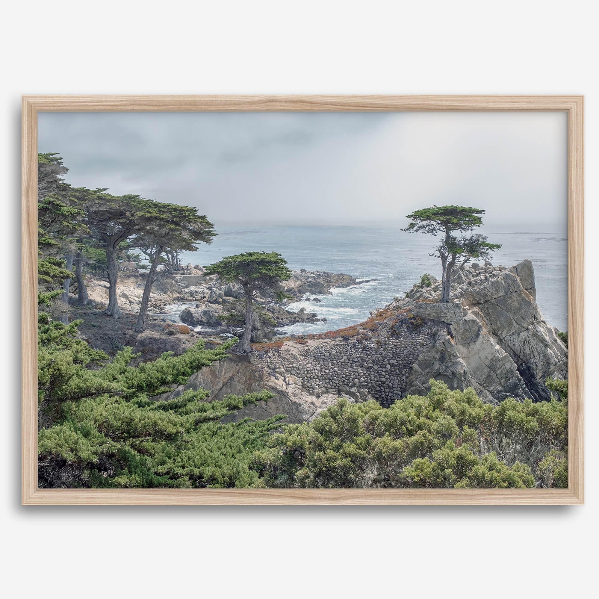 A fine art coastal print showcasing a lone cypress overlooking the ocean in 17 miles drive near Monterey, California. This ocean wall art is available framed or unframed.