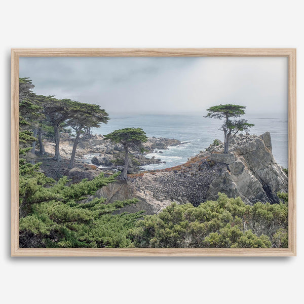A fine art coastal print showcasing a lone cypress overlooking the ocean in 17 miles drive near Monterey, California. This ocean wall art is available framed or unframed.