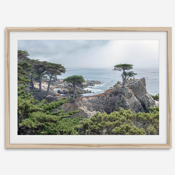A fine art coastal print showcasing a lone cypress overlooking the ocean in 17 miles drive near Monterey, California. This ocean wall art is available framed or unframed.