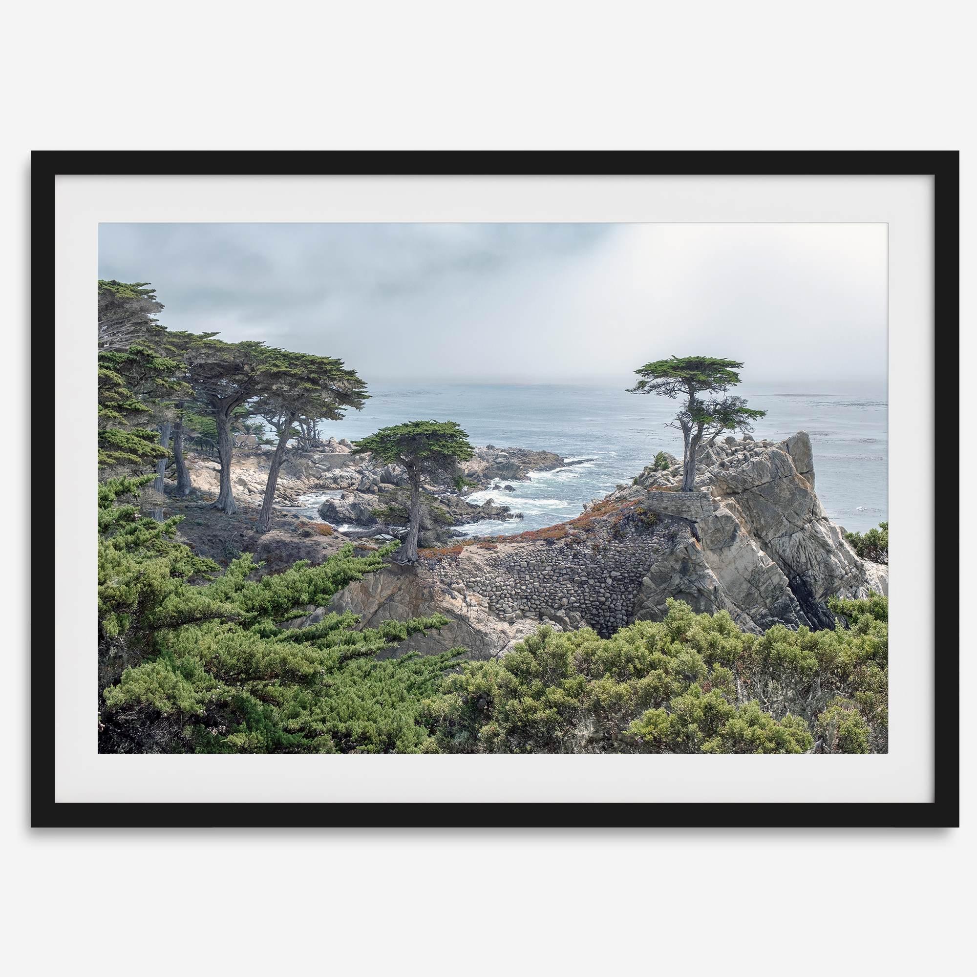 A fine art coastal print showcasing a lone cypress overlooking the ocean in 17 miles drive near Monterey, California. This ocean wall art is available framed or unframed.