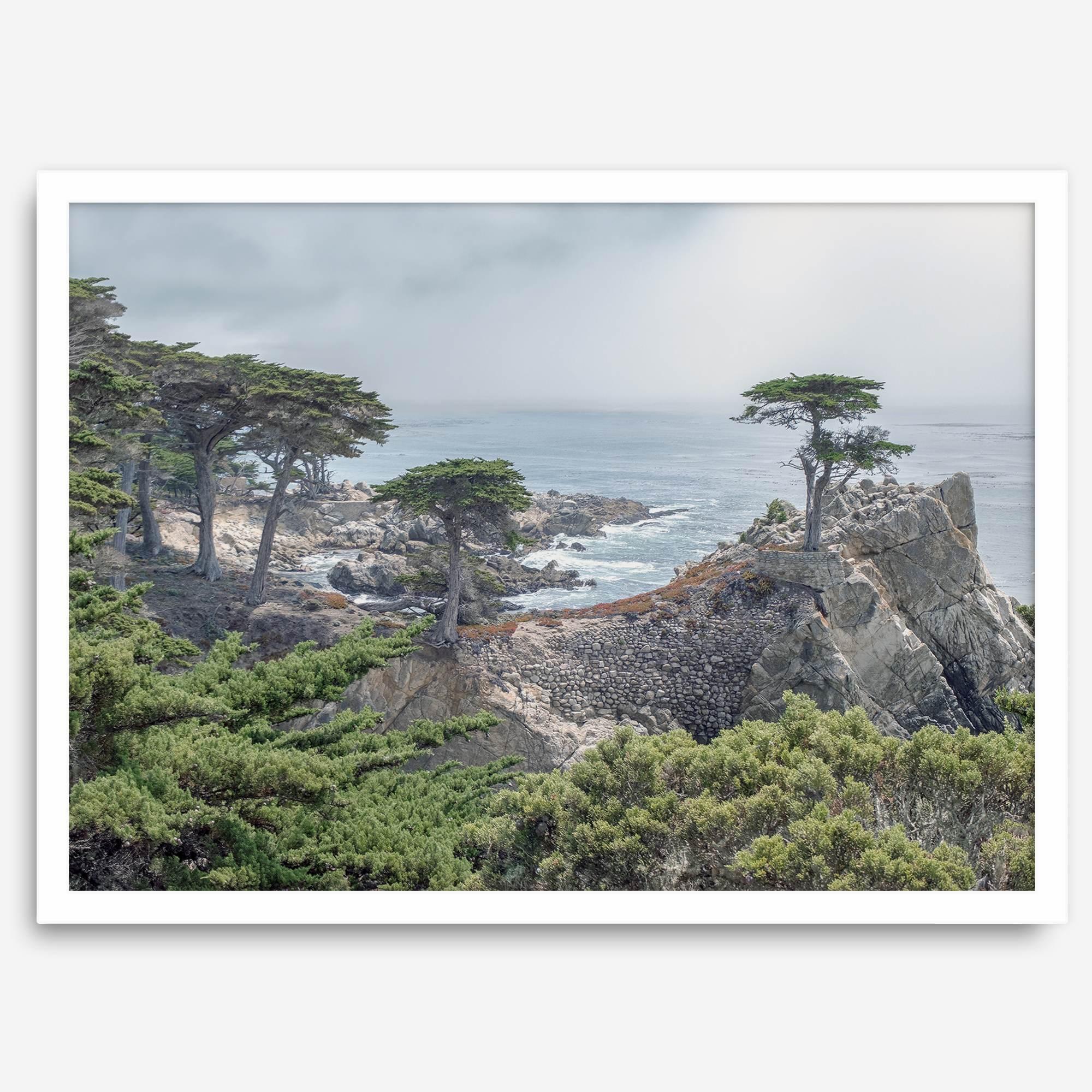A fine art coastal print showcasing a lone cypress overlooking the ocean in 17 miles drive near Monterey, California. This ocean wall art is available framed or unframed.