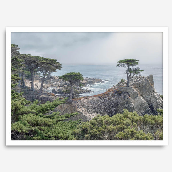 A fine art coastal print showcasing a lone cypress overlooking the ocean in 17 miles drive near Monterey, California. This ocean wall art is available framed or unframed.