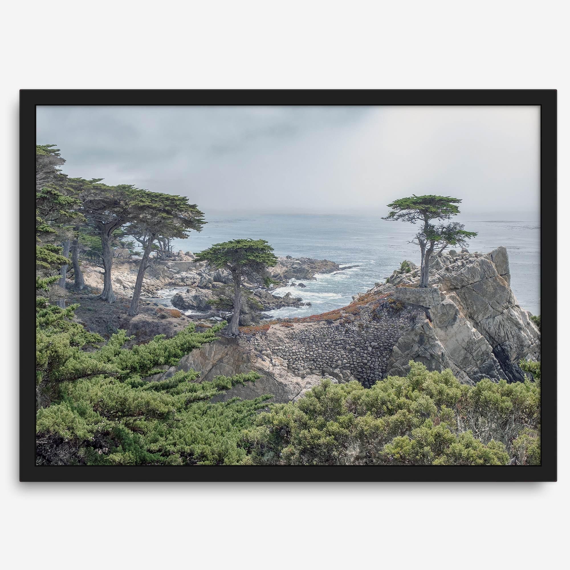 A fine art coastal print showcasing a lone cypress overlooking the ocean in 17 miles drive near Monterey, California. This ocean wall art is available framed or unframed.