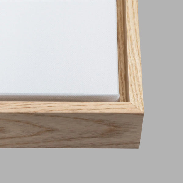 Ocean canvas print featuring flying sea birds and peaceful coastal scenery from Pacifica, California.