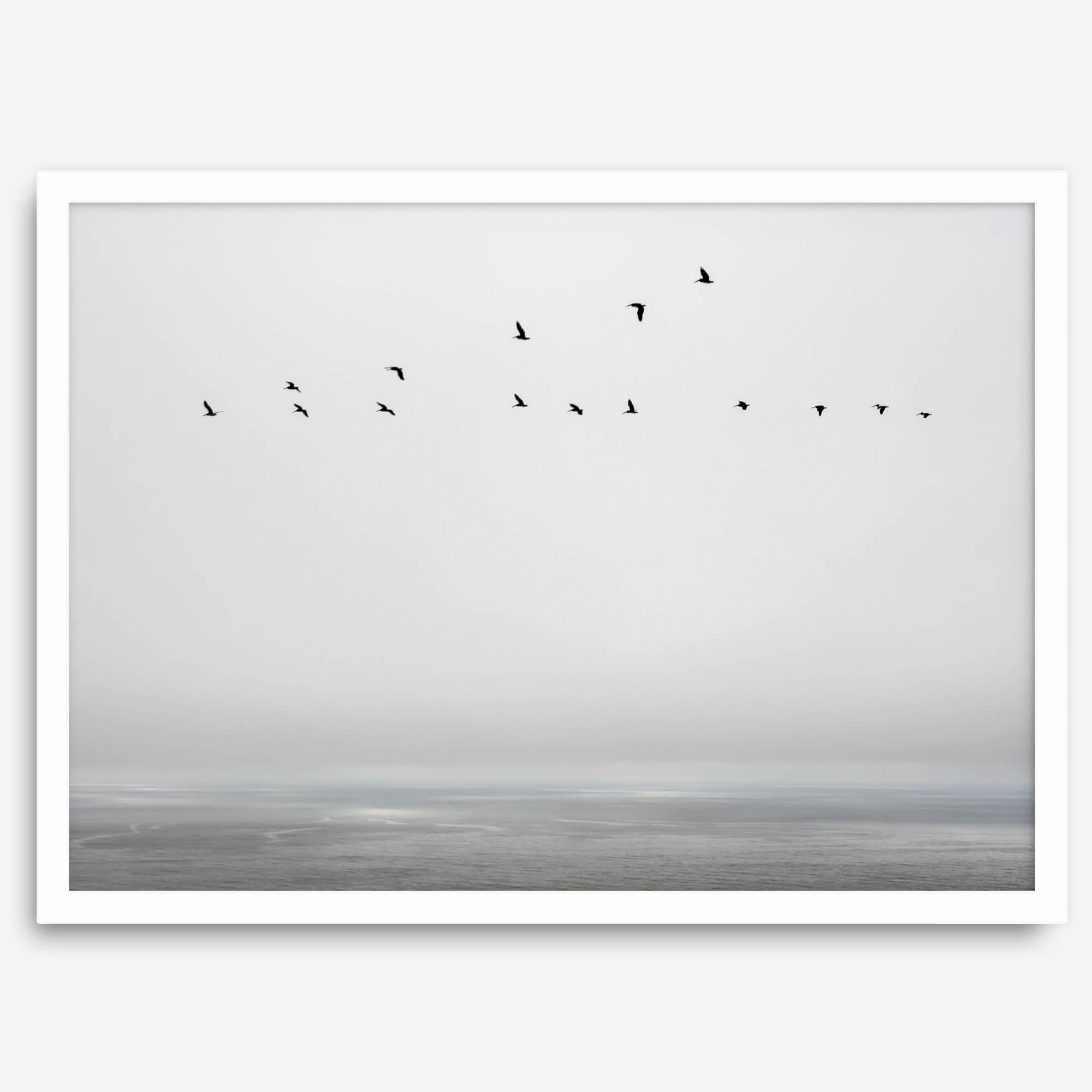 Minimalist seascape fine art print – a flock of birds in flight over a calm, misty ocean with a soft, gray horizon.