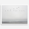 Minimalist seascape fine art print – a flock of birds in flight over a calm, misty ocean with a soft, gray horizon.