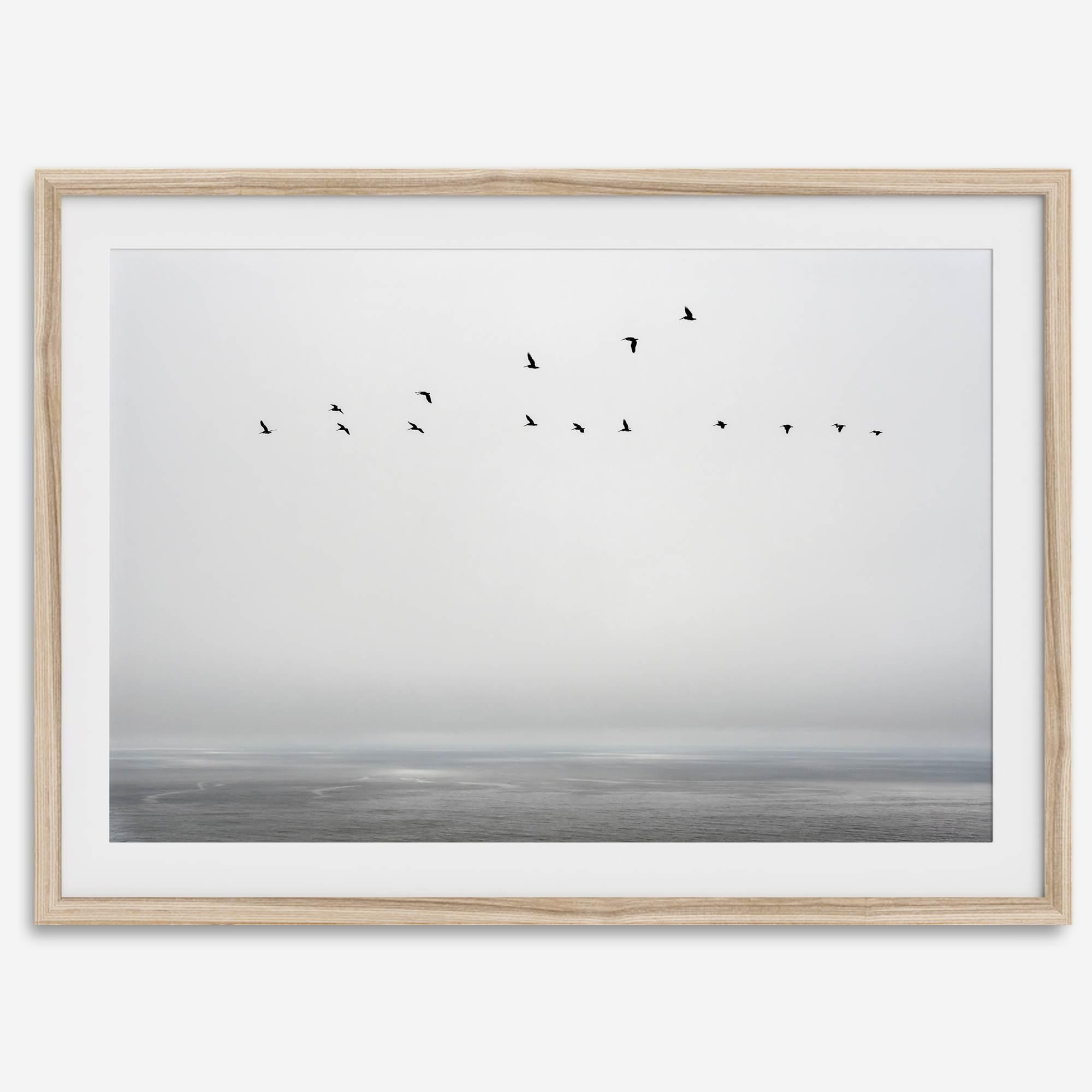 Minimalist seascape fine art print – a flock of birds in flight over a calm, misty ocean with a soft, gray horizon.