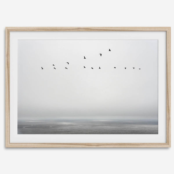 Minimalist seascape fine art print – a flock of birds in flight over a calm, misty ocean with a soft, gray horizon.