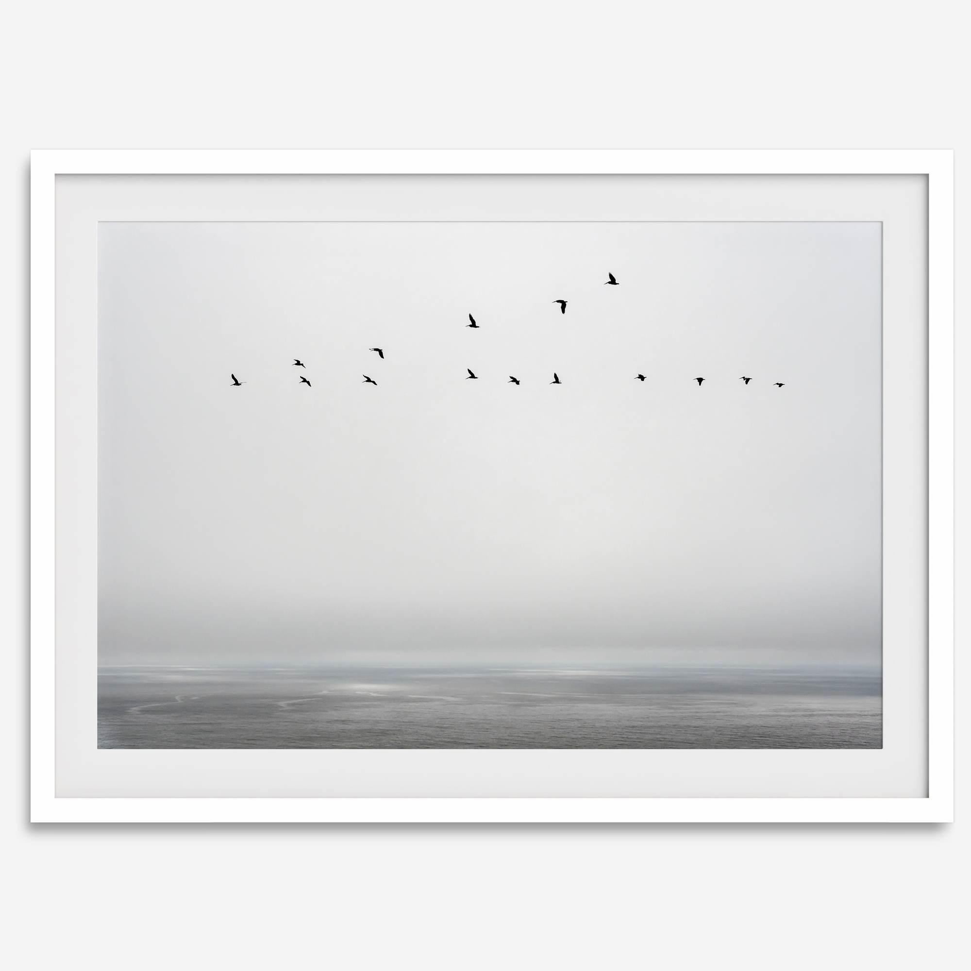 Minimalist seascape fine art print – a flock of birds in flight over a calm, misty ocean with a soft, gray horizon.
