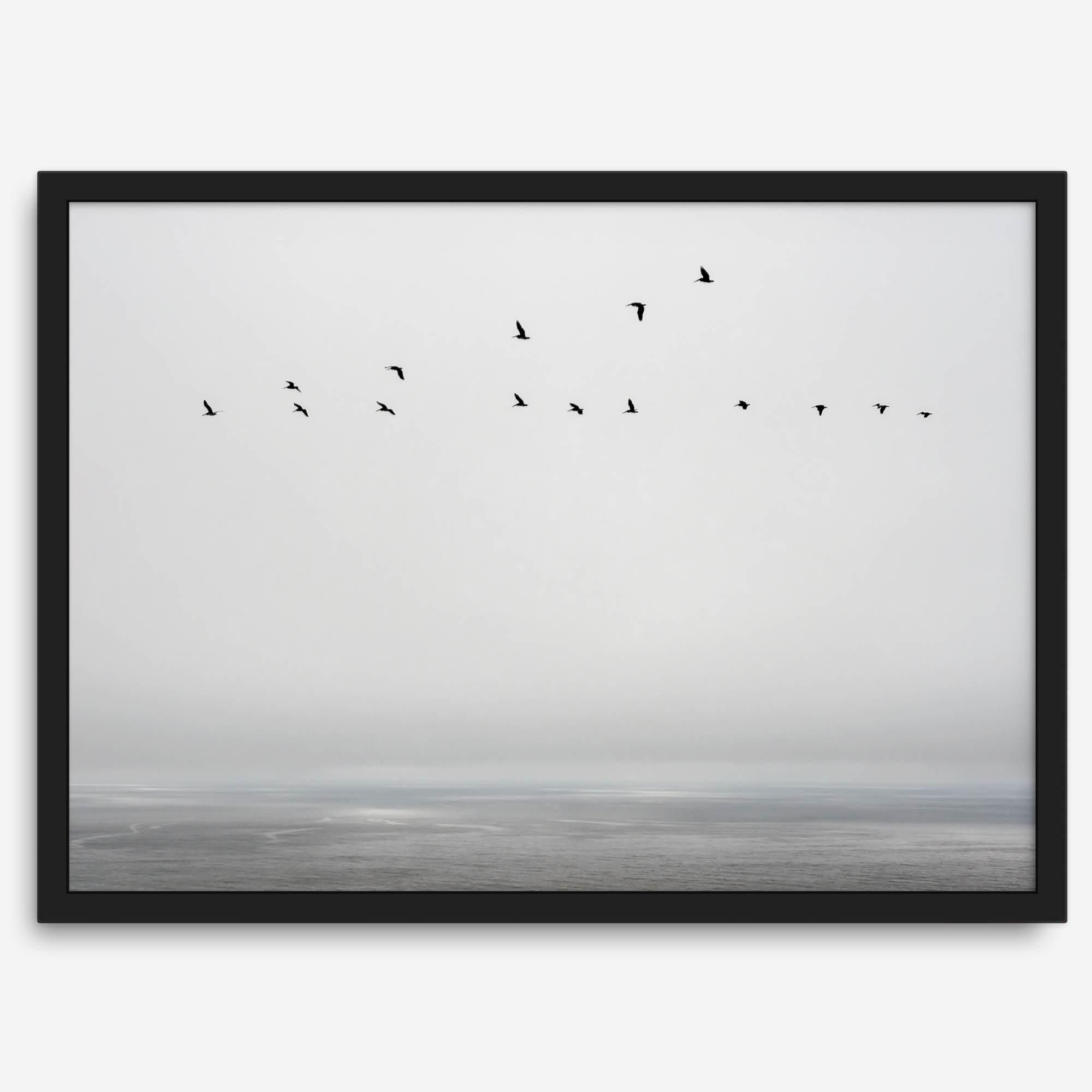 Minimalist seascape fine art print – a flock of birds in flight over a calm, misty ocean with a soft, gray horizon.
