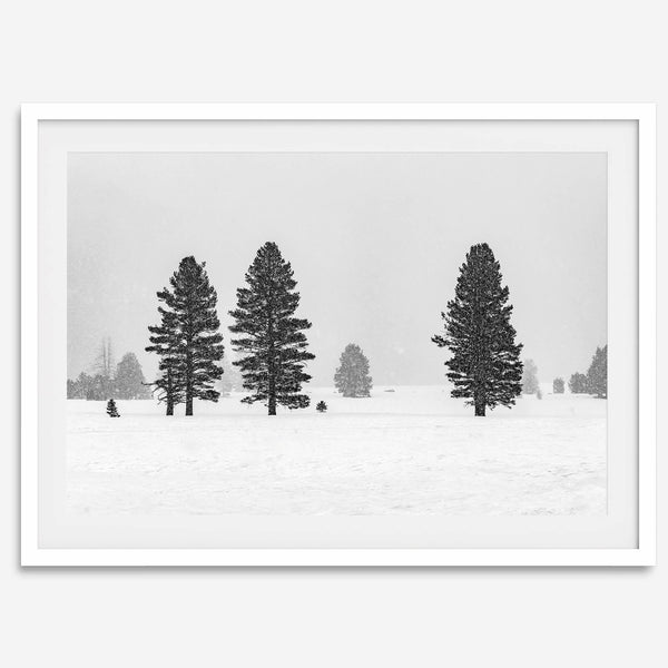 Snowy winter scene artwork with tall pine trees in a peaceful snow-covered field, perfect for minimalist wall decor.